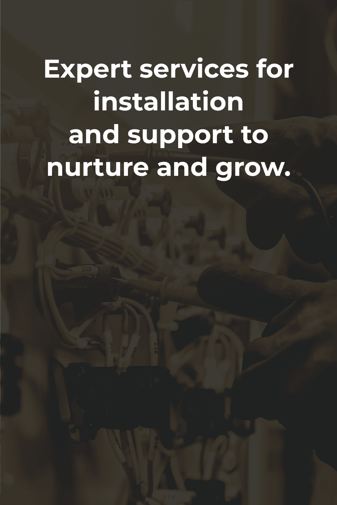 Expert services for installation and support to nurture and grow.